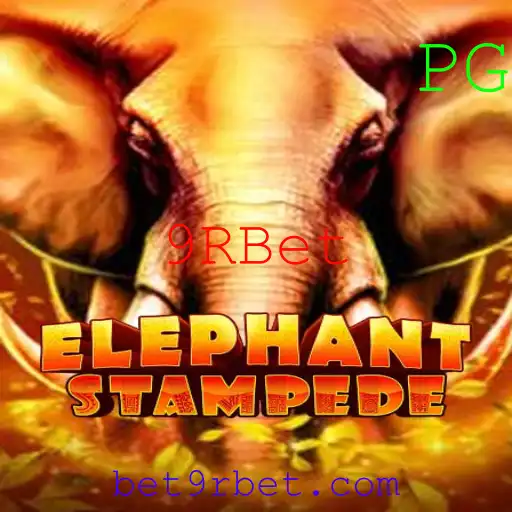 Descubra o Fascinante Mundo de ElephantStampede